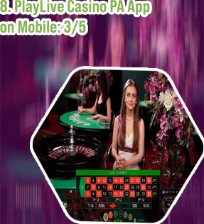 Playlive casino app